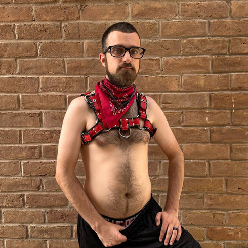 Stronghold Bulldog Harness